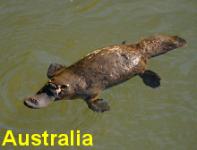 Click and go to our Australia images