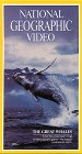 National Geographic's The Great Whales (1978)