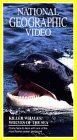 National Geographic's Killer Whales: Wolves of the Sea (1993)