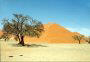 Sand dunes, Sossusvlei, Namibia