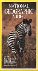 National Geographic's Zebra: Patterns in the Grass